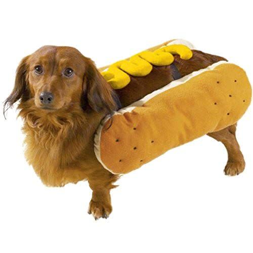 15) Hot Diggity Dog Costume