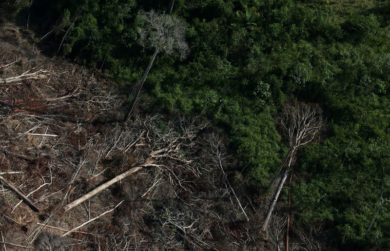 FILE PHOTO: An aerial view of a tract of Amazon jungle after it was cleared by farmers in Itaituba