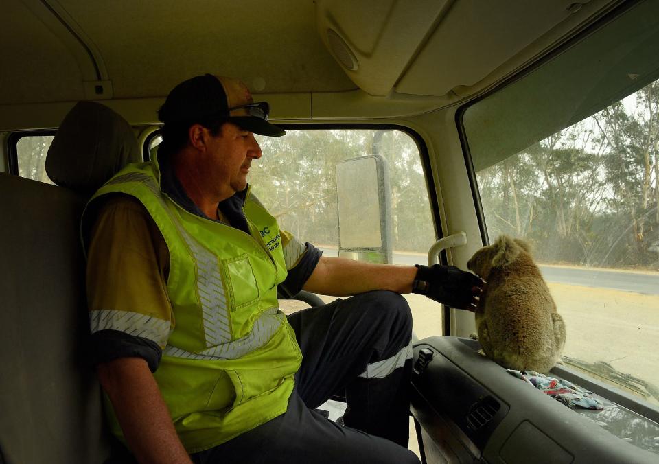 (Photo: Fairfax Media via Getty Images)