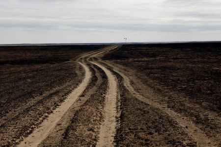 A country road leads through a pasture burned by wildfires near Glazier, Texas, U.S., March 12, 2017. REUTERS/Lucas Jackson