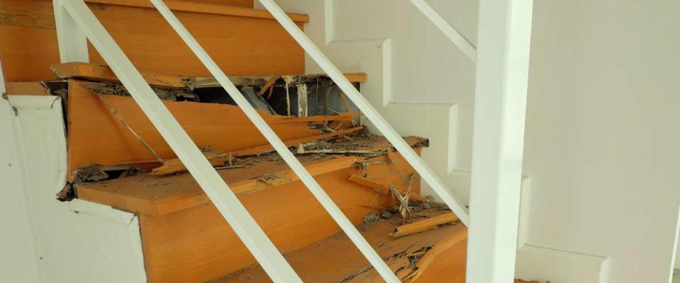 wood stairs that have been destroyed by termites