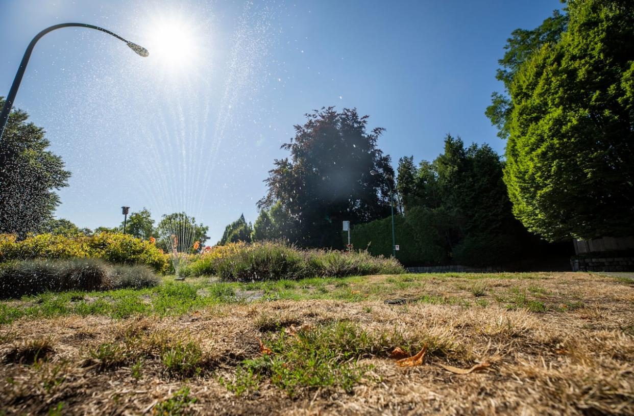 Annual lawn watering restrictions are now in effect in Metro Vancouver, with residents only allowed to water their lawns once a week until mid-October. (Ethan Cairns/CBC - image credit)