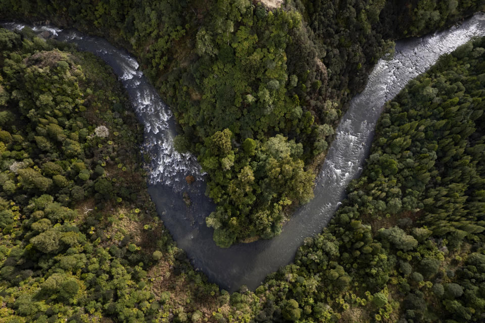 The upper reaches of New Zealand's Whanganui River flow through a forest on June 16, 2022. (AP Photo/Brett Phibbs)