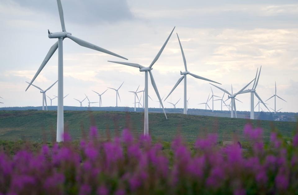 Wind power production has soared in the past decade (PA Wire)