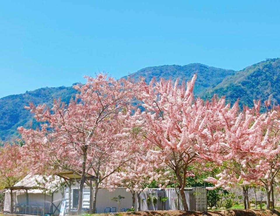 寶來花賞溫泉公園（圖片來源：高雄旅遊網）