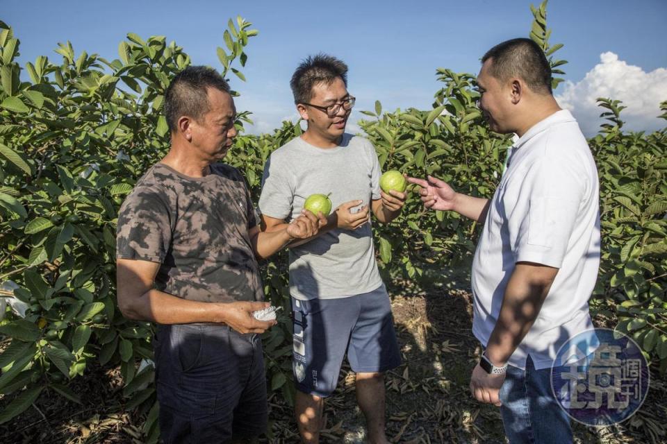 邱瑞堂（右）喜歡跟有二代返鄉接班的果農合作，他認為這樣才能幫忙農業永續發展。