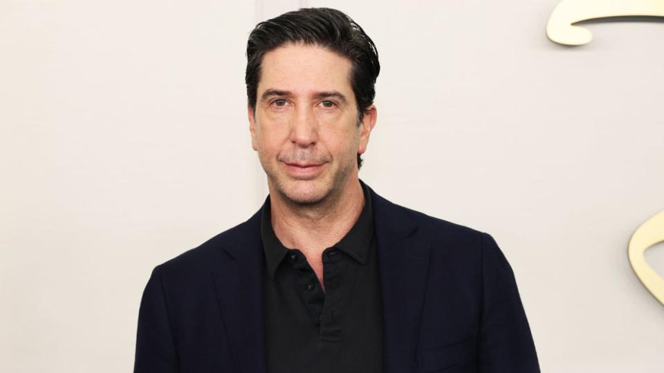 A photo of David Schwimmer