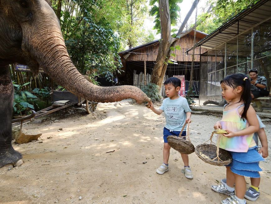 泰國｜曼谷＋Pattaya度假＋北碧府動物園