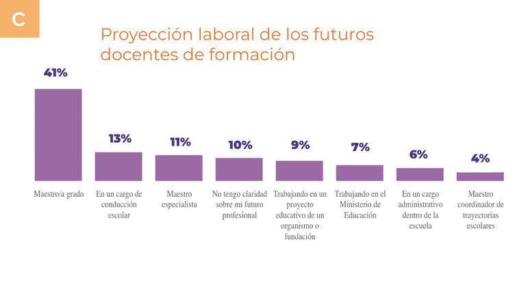 La mayoría se proyecta como maestro de grado