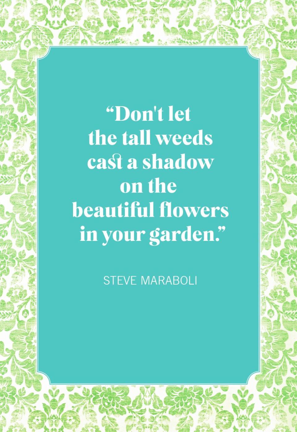 flower quotes steve maraboli