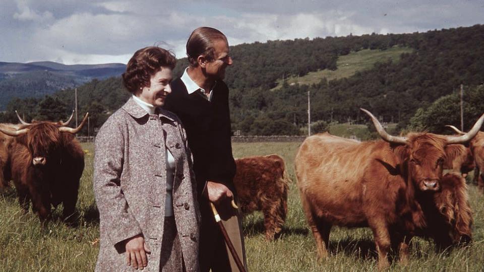 La reina Isabel y el príncipe Felipe en un campo con ganado Highland en Balmoral en 1972