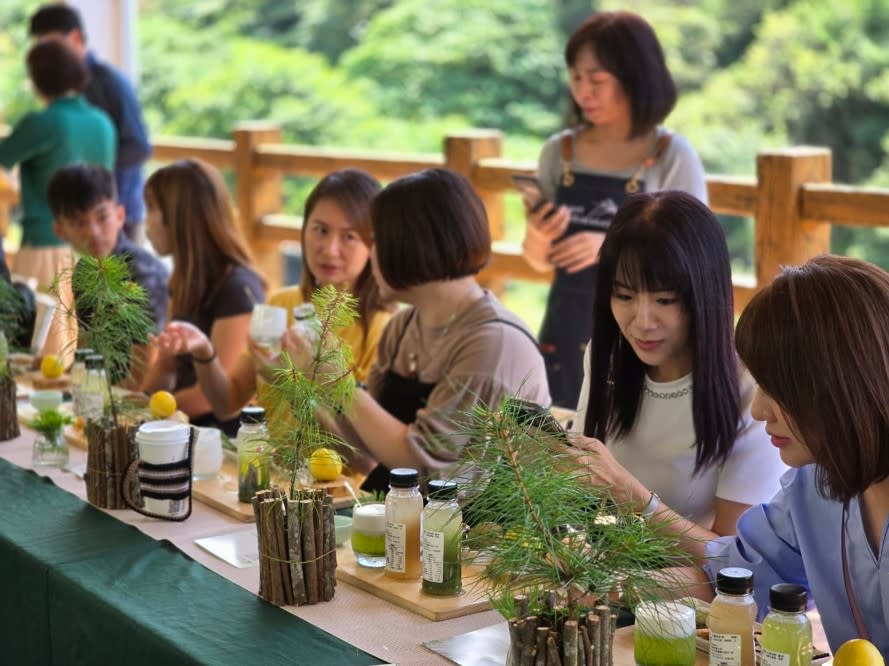 在松林下享用五葉松茶席，體驗五葉松植栽手作。照片來源：林業及自然保育署