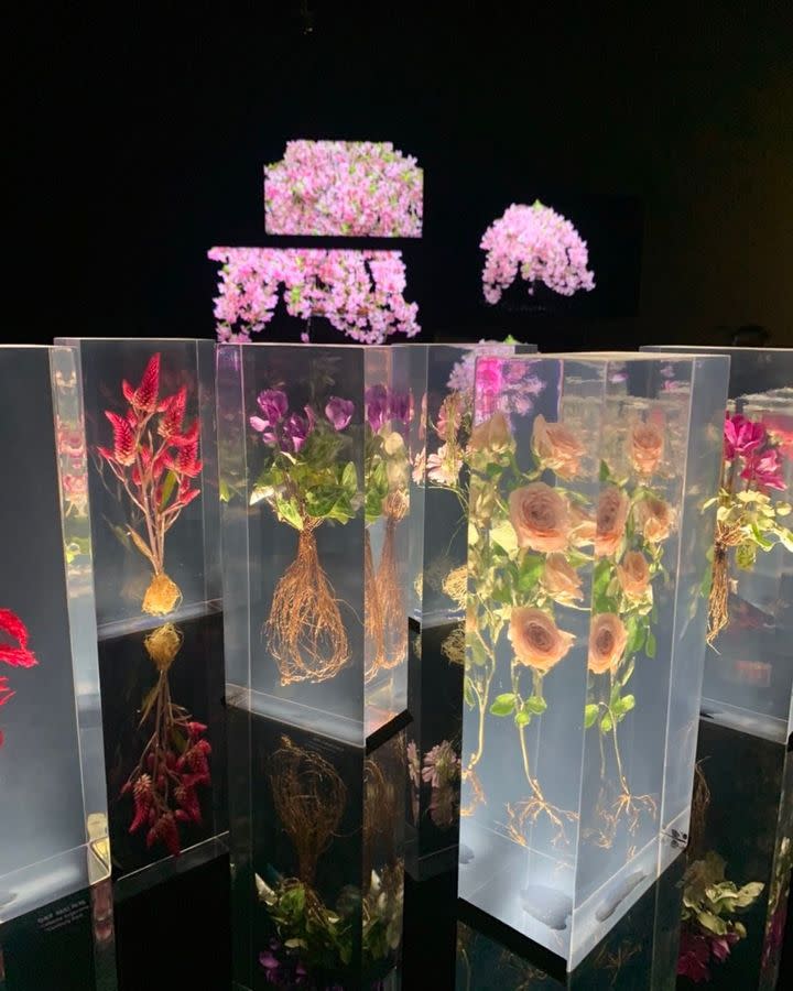 100件展覽訂製「Block Flowers」