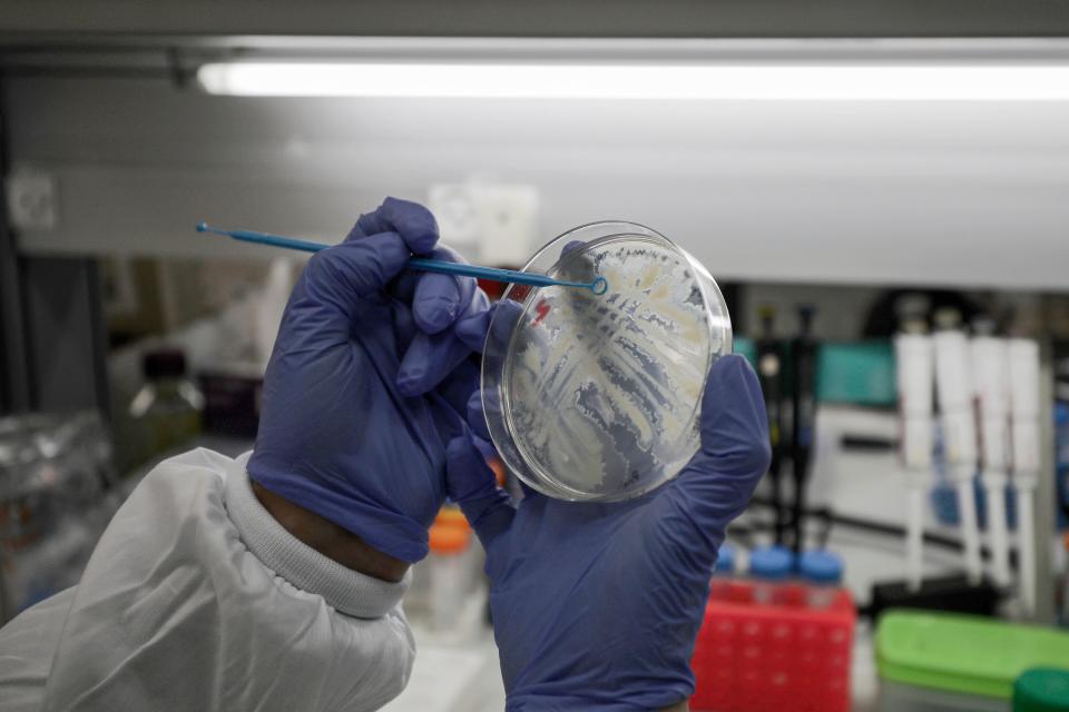A scientist works at a laboratory in Israel, where efforts are underway to produce a vaccine against the COVID-19 coronavirus. (Jalaa Marey/AFP)
