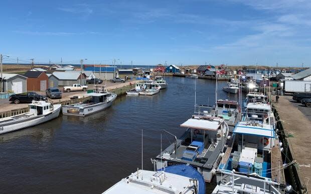 North Lake Harbour at the eastern tip of P.E.I. is one of the Island's busiest, with almost 100 lobster fishing boats.