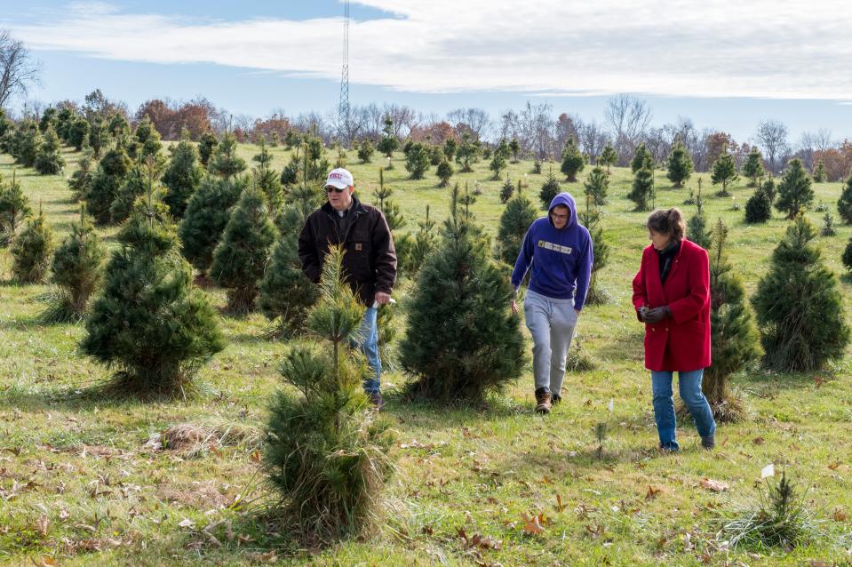 Jeff Vantlin, left, Shane Vantlin, center, Julia Vantlin, right, stroll through Sycamore Valley Tree Farm in search of a family Christmas tree Friday morning, Nov. 26, 2021.