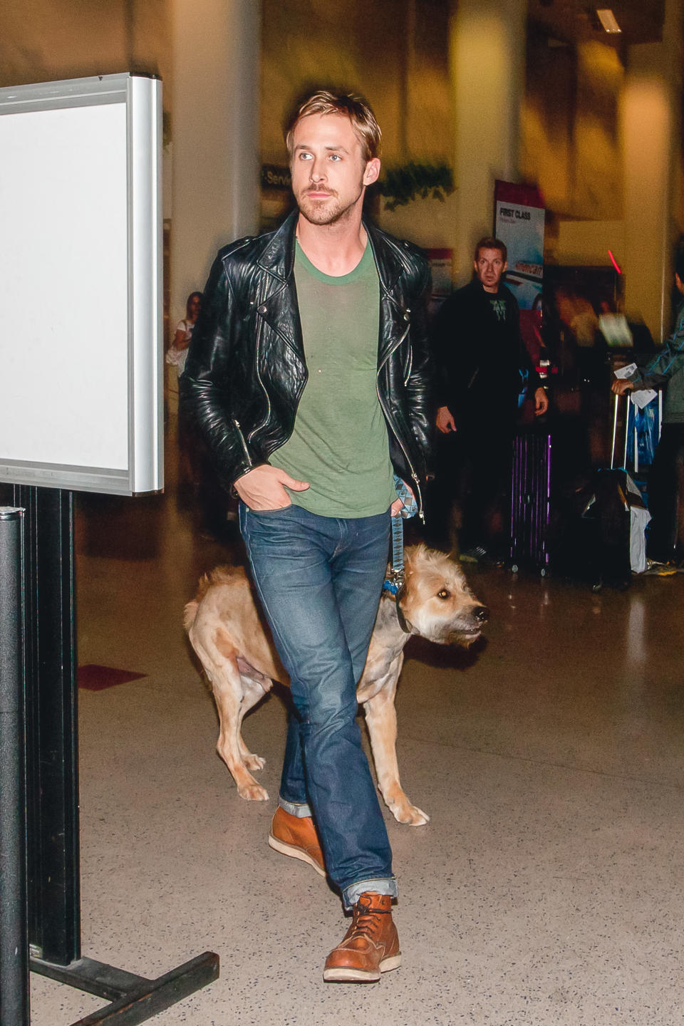 Ryan Gosling with a dog