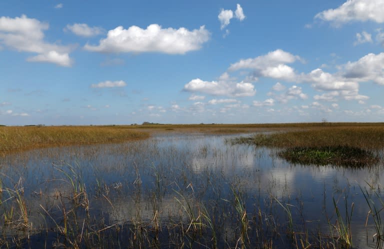 The Comprehensive Everglades Restoration Plan, the world's largest ecosystem restoration project, has made little progress since it was launched in 2000
