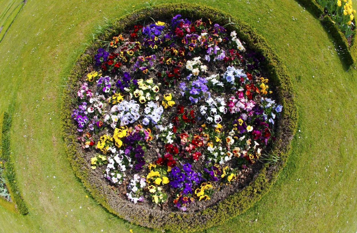 flower bed ideas round