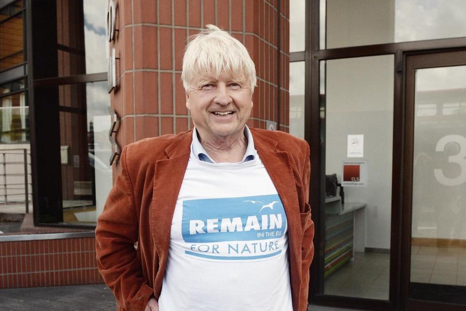 Stanley Johnson supported Remain despite his son Boris being the face of Brexit  (Getty Images)