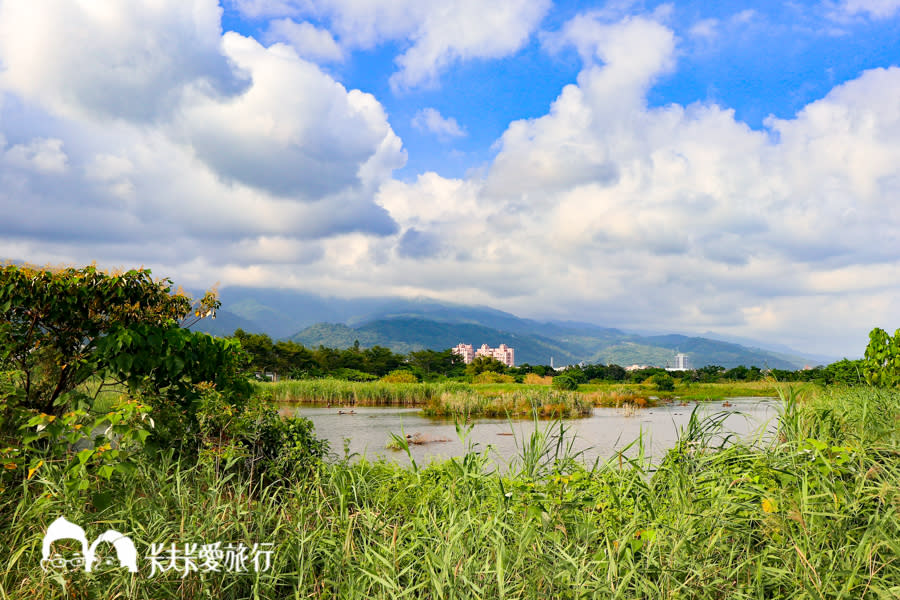 復刻版雲山水＋下埔綠色隧道