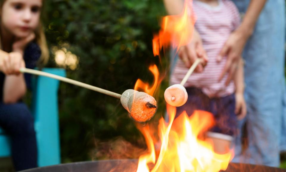 <span>‘Roasting a marshmallow gives rise to a physical change in the product, caramelising the outer skin and making the interior molten,’ the judges said.</span><span>Photograph: Tetra Images/Alamy</span>