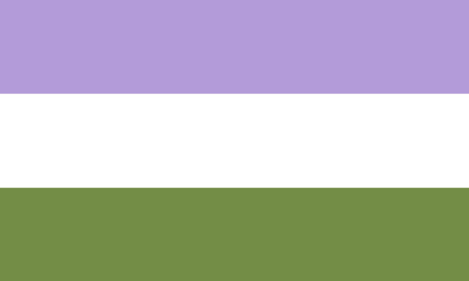 15) Genderqueer Flag