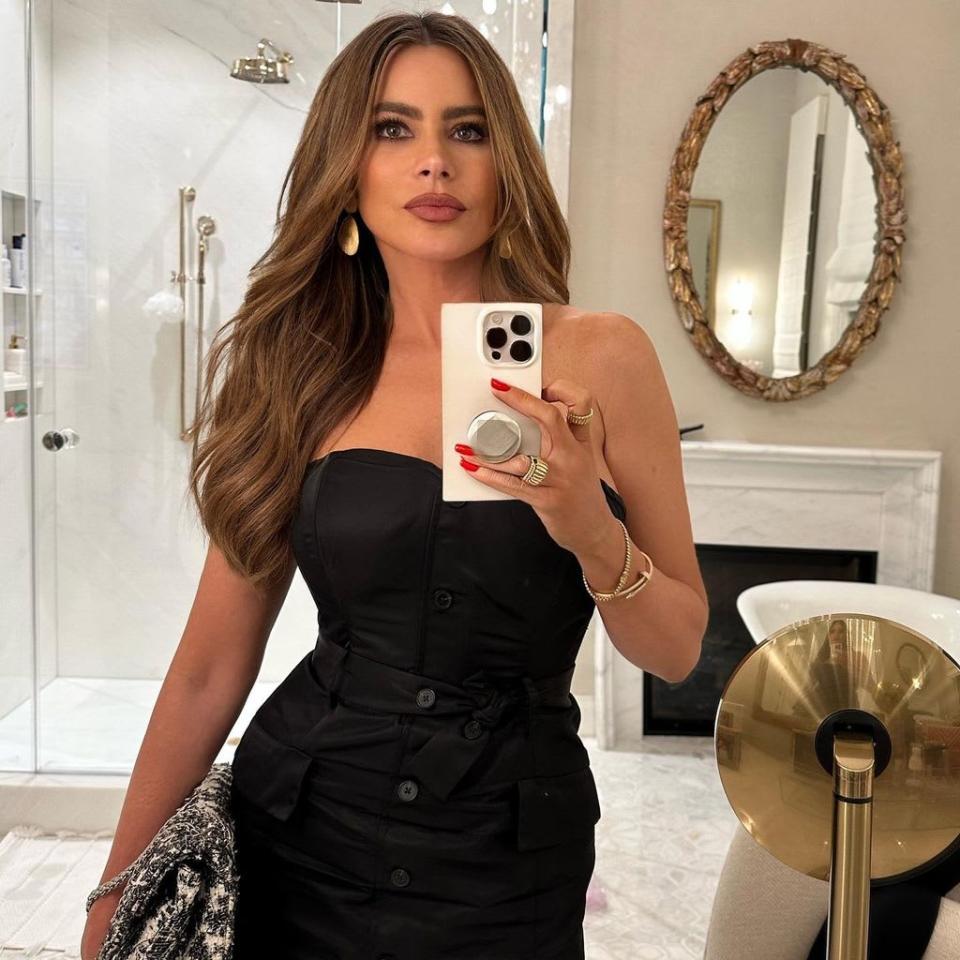 sofia vergara mirror selfie inside home bathroom