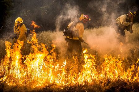 Firefighters work to dig a fire line on the Rocky Fire in Lake County, California July 30, 2015. REUTERS/Max Whittaker