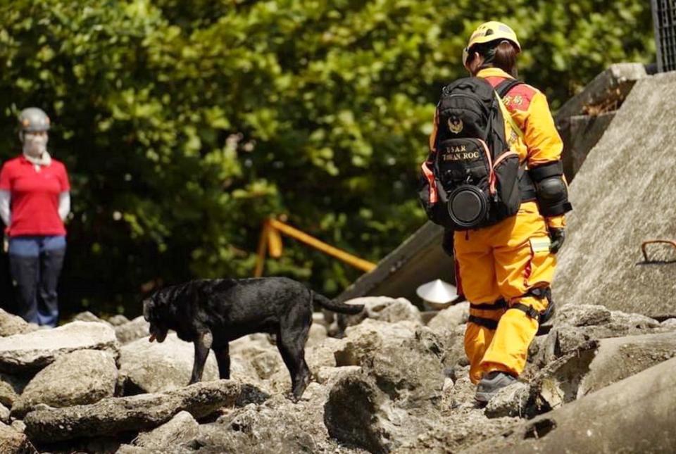 台中搜救犬積極參加搜救犬國際瓦礫堆任務檢測ＩＲＯ－ＭＲＴ。（記者陳金龍攝）