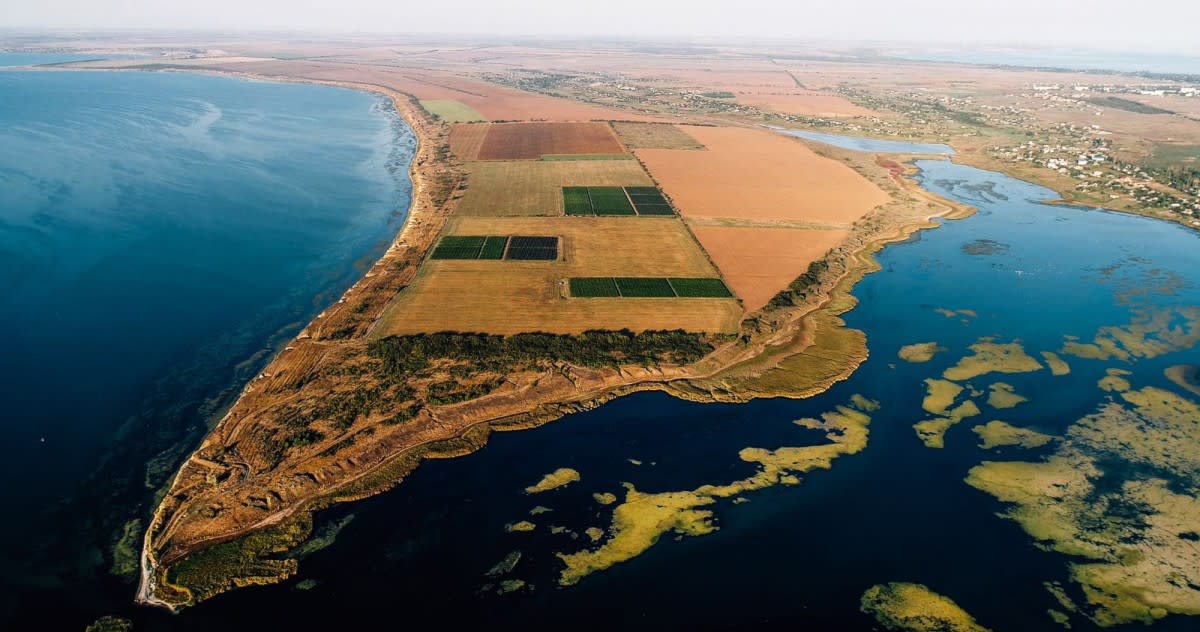 Beykush Vineyard in Mykolaiv-Black Sea Region<p>Courtesy of Vyno Ukrainy</p>