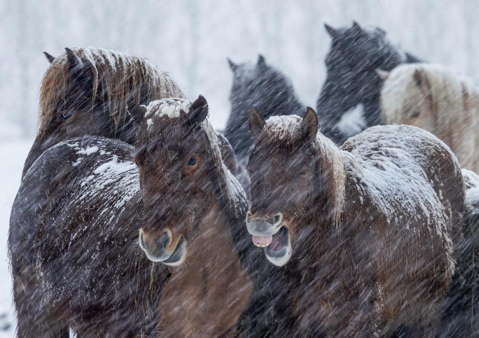 (Photo: Michael Probst/AP)