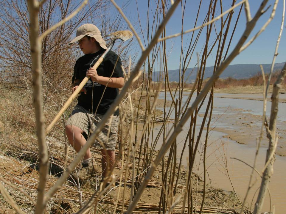 An environmentalist plants trees on the banks of the Rio Puerco in 2003.