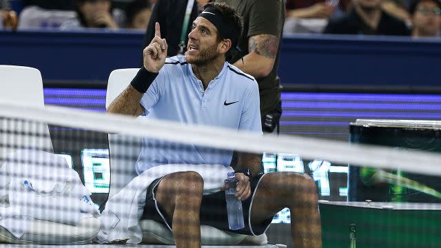 Del Potro argues some more. Image: Getty