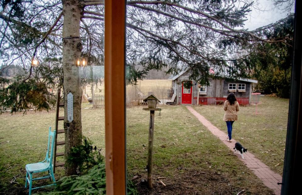 A woman walks on a path to a large shed, as a black-and-white cat walks in the other direction, toward trees and a birdhouse.