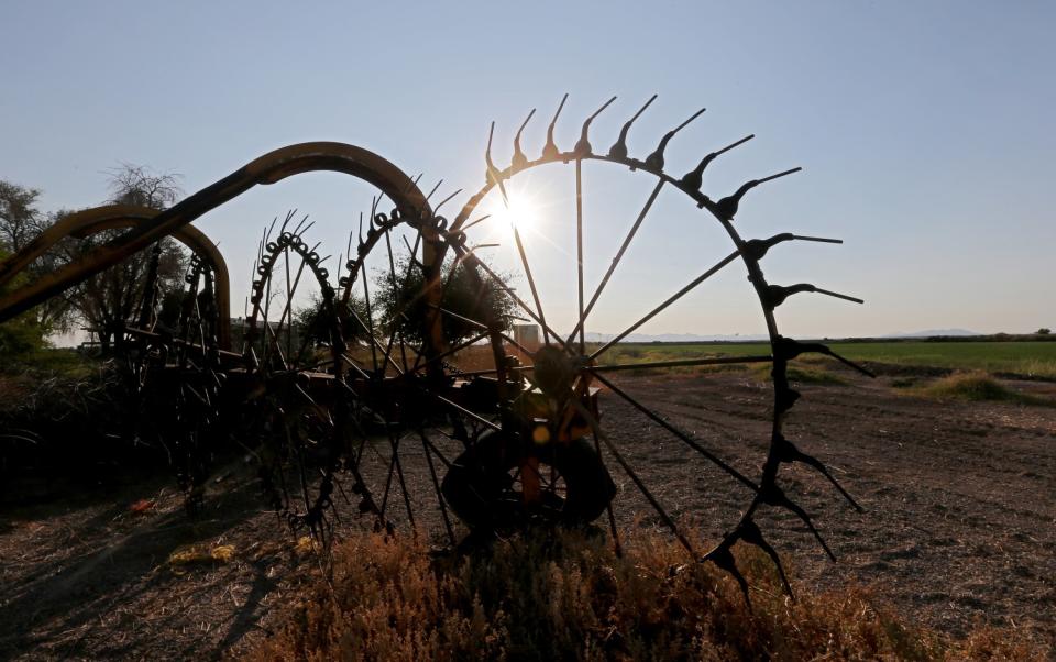 Old farm equipment stands at the edge of a field in Blythe.