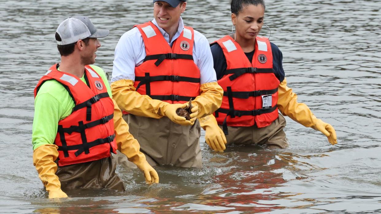 the prince of wales visits billion oyster project in new york city