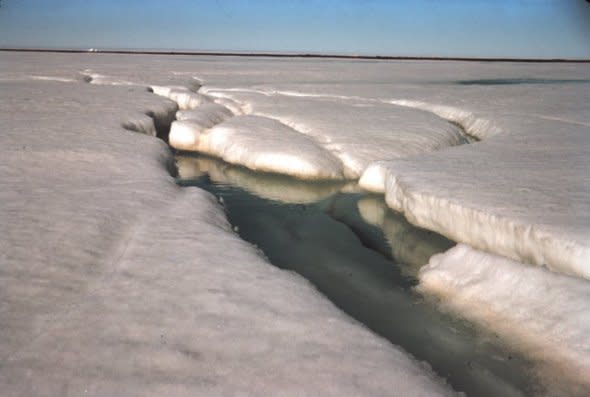 Arctic ice melt