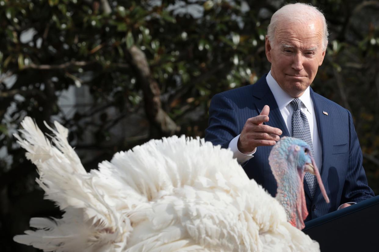 Joe Biden pardons the National Thanksgiving turkeys Liberty (shown) and Bell during a ceremony on the South Lawn of the White House on November 20, 2023 in Washington,