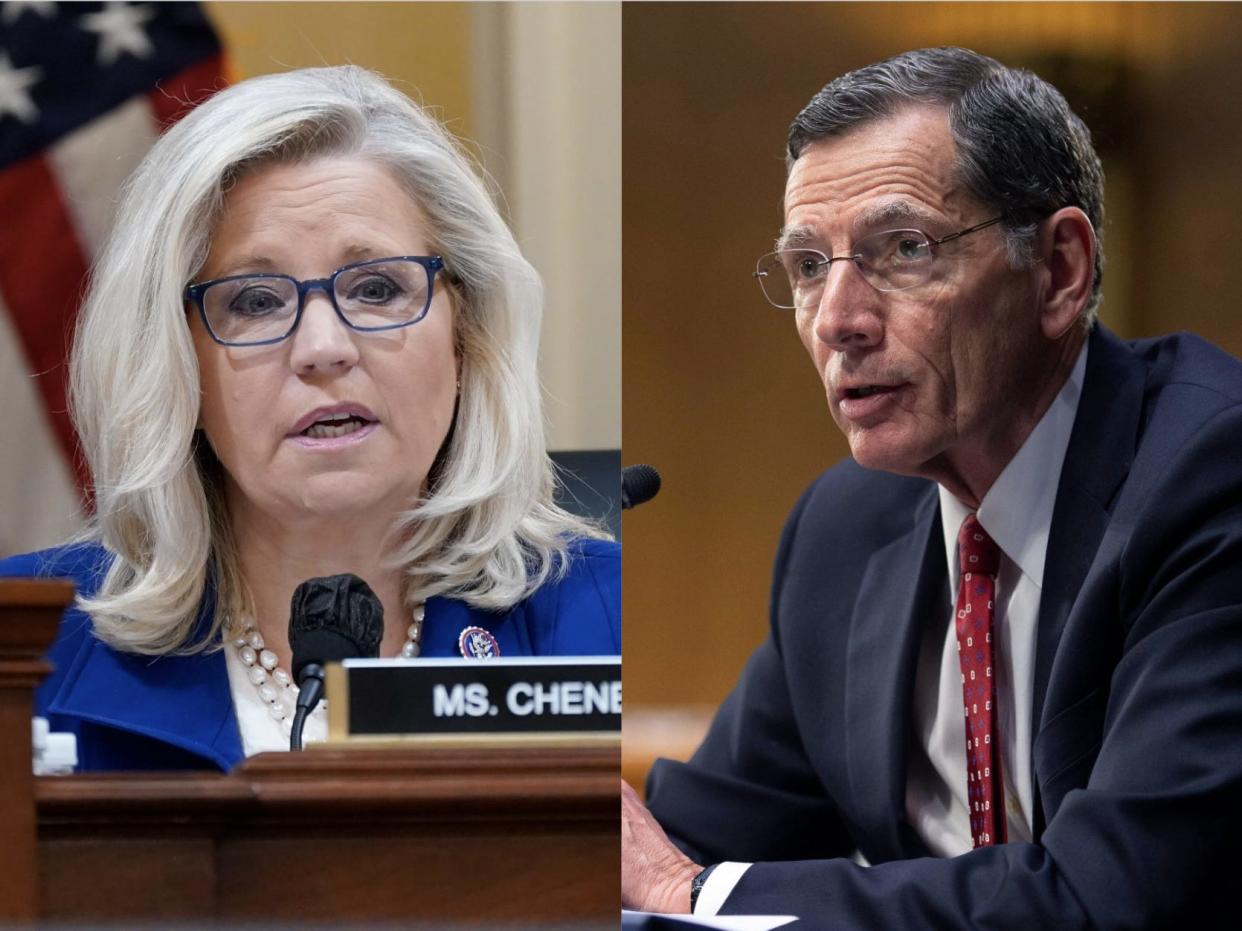 A split image of GOP Rep. Liz Cheney and GOP Sen. John Barrasso.