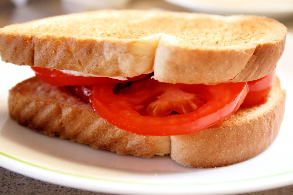 Thick slices of juicy tomato layered between two pieces of toast.  Hint of mayo