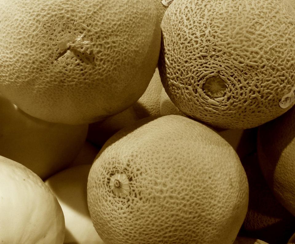Three cantaloupes in a grocer’s bin tell a different story. The top left melon still has a piece of stem attached and the bottom left melon has no naval scar, indicating both were not picked at full maturity. Only the top right melon is fully ripe, indicated with warm background color, raised netting and a full-slip naval scar.