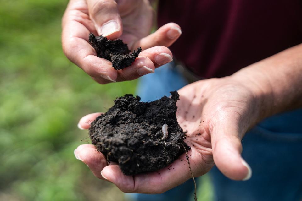 Jerry Hatfield, a retired U.S. Department of Agriculture scientist, shows off a piece of healthy soil taken from a field maintained to retain carbon, on Wednesday, July 19, 2023, in Central Iowa.