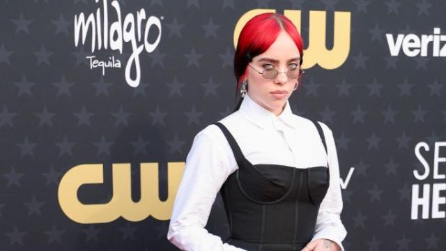 Billie Eilish Wore a Surprising Hair Accessory to a Formal Event — See the  Photos