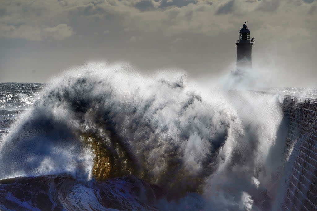 Storm Arwen is set to bring strong winds (Owen Humphreys/PA) (PA Archive)