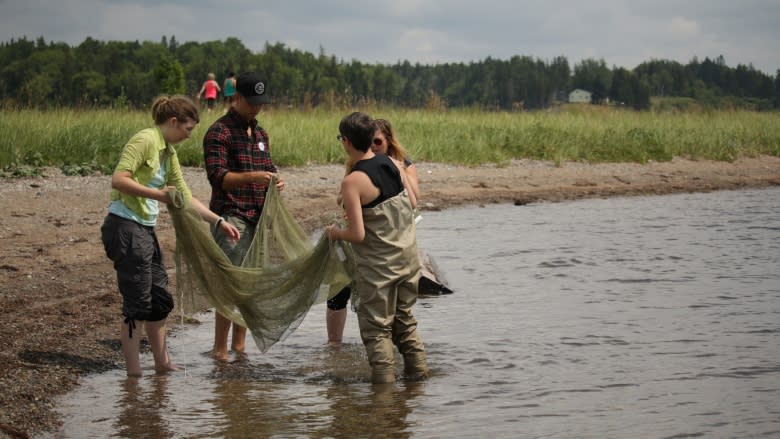 All hands in the lake: Public field day examines life in Bras d'Or Lake