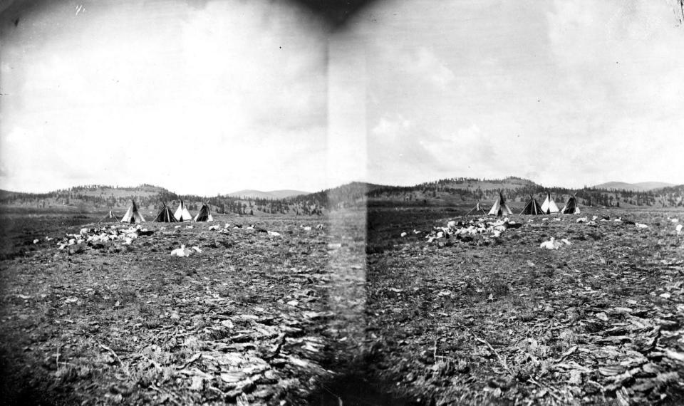 Stereograph of a camp and herd of animals belonging to members of the Ute tribe of Native Americans in Colorado in 1875.