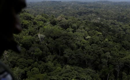 FILE PHOTO: A policeman observes the Amazon rainforest during an operation conducted by agents of the Brazilian Institute for the Environment and Renewable Natural Resources, or Ibama, near Novo Progresso, southeast of Para state