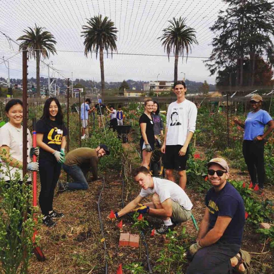 Students and faculty conduct urban farming research and grow crops to prepare healthy meals as part of the “food justice” movement, according to the farm’s website. @gilltractfarm/Instagram