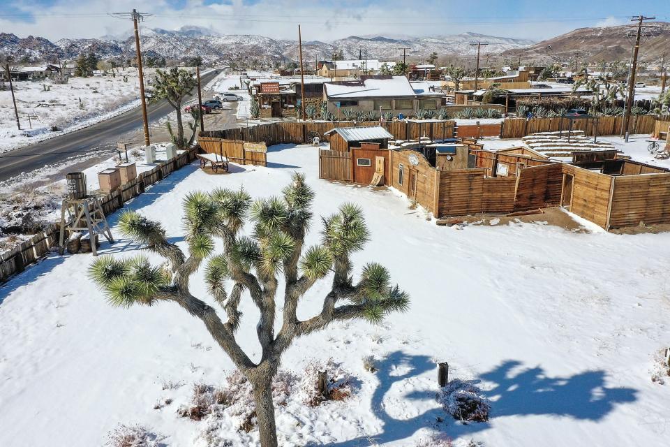 A Joshua tree is surrounded by snow  January 25, 2021 in Pioneertown.